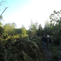 IMG 9244