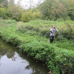 La Bièvre et ses étangs (78)