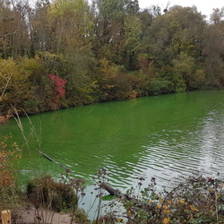 Bruyères-le-Châtel (91)