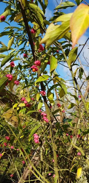 20231125_123551.jpg