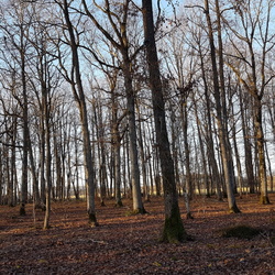 Autour de Montfort-l'Amaury