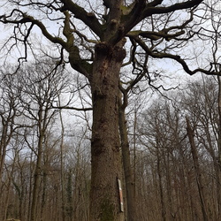 Du pont d'Issy aux ponts de Sèvres et de Puteaux