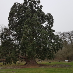 Autour de Jouy-en-Josas (78)