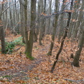 Les Buttes de Parisis