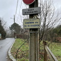 IMG 3739