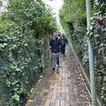 IMG 3745
