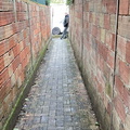 IMG 3746