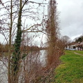 IMG-20240203-WA0016
