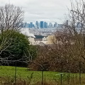 IMG-20240203-WA0018