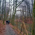 IMG-20240203-WA0008