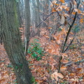 IMG-20240203-WA0012