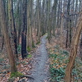 IMG-20240203-WA0013