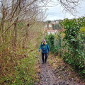 IMG-20240203-WA0017