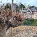 IMG-20240203-WA0038