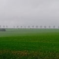 IMG-20240210-WA0002