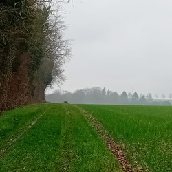 Autour de Vigny (95)