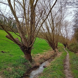 Autour du bois du Chesnay, Follainville 