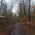 IMG-20240302-WA0008