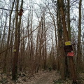 IMG-20240309-WA0001