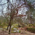 IMG-20240309-WA0002