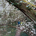 IMG-20240309-WA0003