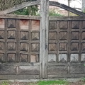 IMG-20240309-WA0004