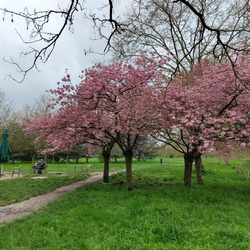 MN du 1er avril 2024