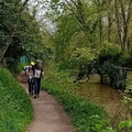 IMG-20240406-WA0031