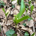 IMG-20240406-WA0030