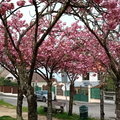 IMG-20240406-WA0037