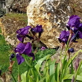 IMG-20240406-WA0039