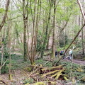IMG-20240406-WA0044