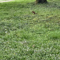 IMG 3944