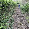 IMG 3948