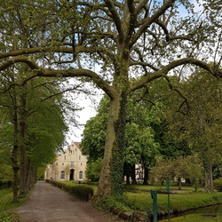 De Luzarches à Royaumont (95)