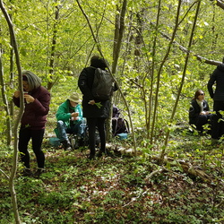 De Luzarches à Royaumont (95)