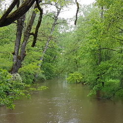 Autour de Ligny le Ribault (45)