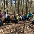 Pause déjeuner en foret de Rambouillet
