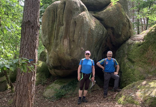 Fontainebleau - Randonnée des points de vue