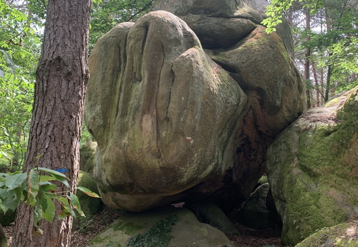 Les points de vue. Fontainebleau