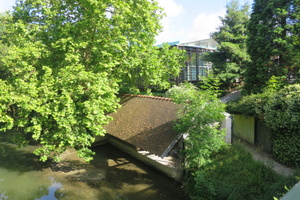 IMG 9465