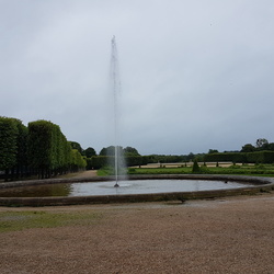 Forêt de Saint-Germain-en-Laye (78)