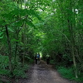 IMG-20240622-WA0006
