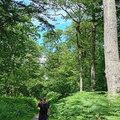 IMG-20240622-WA0015