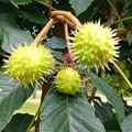 IMG-20240622-WA0013