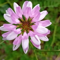 IMG-20240622-WA0019