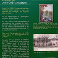 IMG-20240622-WA0020