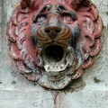IMG-20240622-WA0021