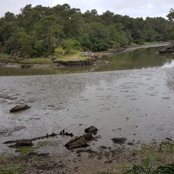 Séjour à Moëlan-sur-Mer (29)