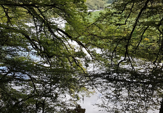 Saison 2023-2024 - montre les photos à la racine de cet album Saison 2023-2024